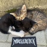 Telegram profile photo for MONSTERCOCK