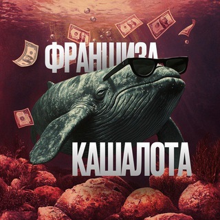 Telegram profile photo for ПЕРЕХОДНИК КАШАЛОТА