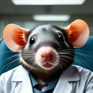 Telegram profile photo for Задумчивая крыса