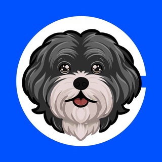 Telegram group profile photo for $MARVIN - Elon's Beloved Dog