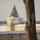 Telegram profile photo for Кирилло-Белозерский музей-заповедник