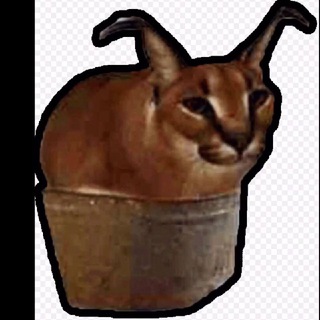 Telegram profile photo for Шлёпа в тазике