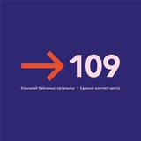 Telegram profile photo for Павлодар облысы бойынша 109 қызметі