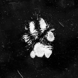 Telegram profile photo for united wild animals
