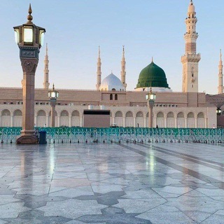 Telegram profile photo for صلوا على النّبي المختار 💚