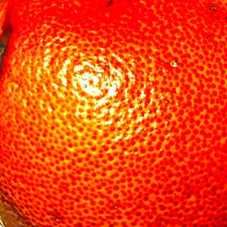 Telegram profile photo for JPEGMATIT