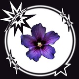 Telegram profile photo for ответы огэ 2011