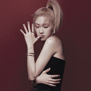 Telegram profile photo for Of Roses & Reveries: ROSÉ.