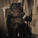 Telegram profile photo for Кот Бегемот:зазеркалье
