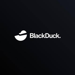 Telegram profile photo for Blackduck RWA/ BDTR