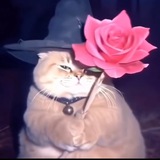 Telegram profile photo for Nunu stealer