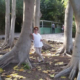 Telegram profile photo for Dr Peres Olga