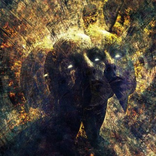 Telegram profile photo for Schizo Terminal