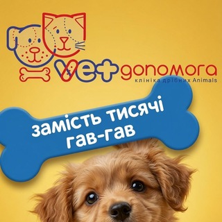 Telegram profile photo for ВетДопомога 💙💛 Суми