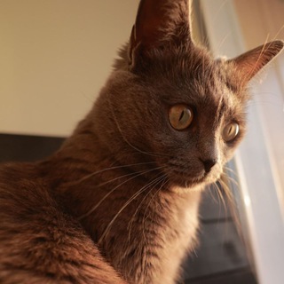 Telegram profile photo for Nita 13