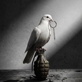 Telegram profile photo for مَجَاجُ الأَقْلَامِ