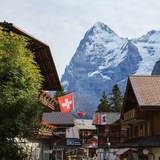 Telegram profile photo for swiss🇨🇭