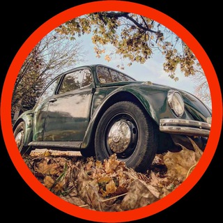 Telegram profile photo for 🚗 Авто Сербия 🚗