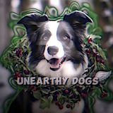 Telegram profile photo for Unearthly dogs 🪽