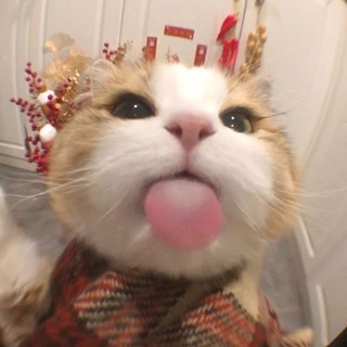 Telegram group profile photo for VIỆC LÀM ONLINE - QH88