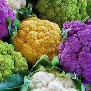 Telegram profile photo for РЕЦЕПТЫ🥗FOREVER