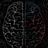 Telegram profile photo for Epilepsy Life
