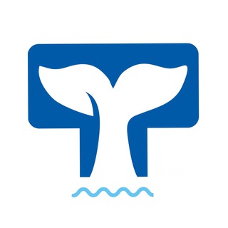 Telegram profile photo for Visit Teriberka | Туры Териберка, киты, северное сияние прогноз