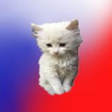 Telegram profile photo for реклама Поздняков