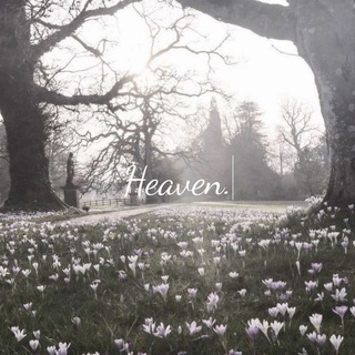 Telegram profile photo for Heaven | PPT network.