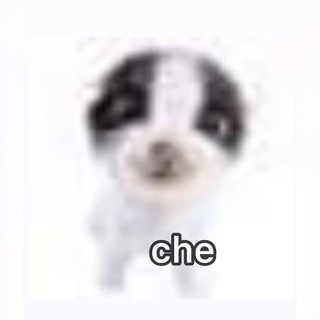 Telegram profile photo for che