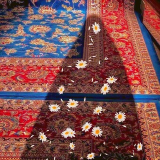 Telegram profile photo for مَلْجَئِي حُسَيْن✨.