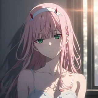 Telegram profile photo for 五花肉的小屋