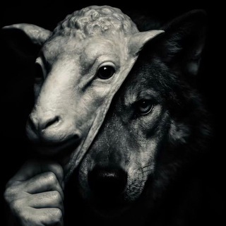 Telegram profile photo for МАФИЯ. Октябрьское поле