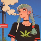 Telegram profile photo for 猫猫半套反馈报告频道