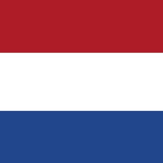 Telegram profile photo for JOBS IN NETHERLANDS
