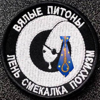 Telegram group profile photo for 💻 Vacancies ⇢ Python Scripts
