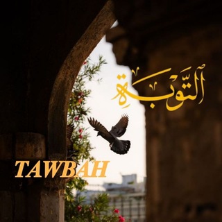Telegram profile photo for آلـتَّـــوْٰبـَــــة