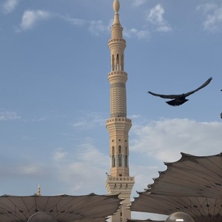Telegram profile photo for جنَّةُ الدُّنيا ونعيمها