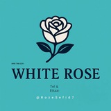 Telegram profile photo for 🛍 گالری رز سفید 🛍