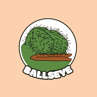 Telegram profile photo for $BALLS - BallsEye by Matt Furie - Portal