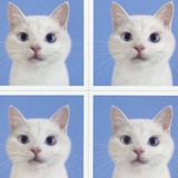 Telegram profile photo for Feels