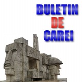 Telegram profile photo for Buletin de Carei