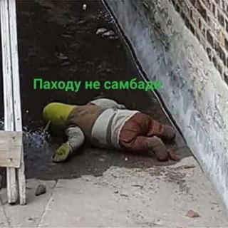 Telegram profile photo for le tiktok’s
