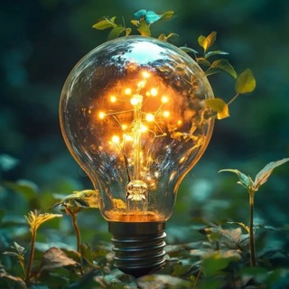 Telegram profile photo for 💡کالای برق محمدی💡
