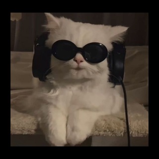 Telegram profile photo for Nothing