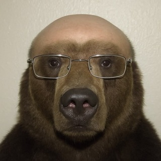 Telegram profile photo for Кюн какашкапост
