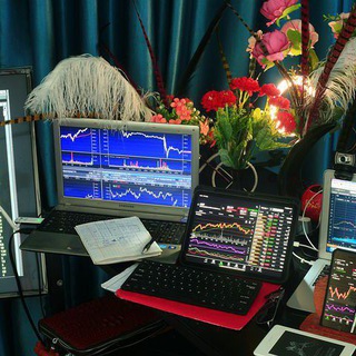 Telegram profile photo for Professor Forex Trading