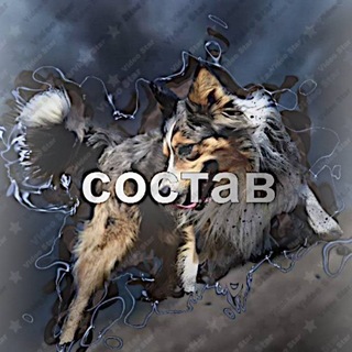 Telegram profile photo for Состав фамильядных