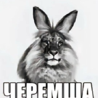 Telegram profile photo for Черемша