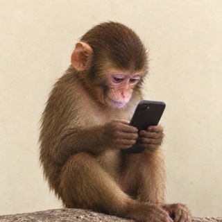 Telegram profile photo for apeonfone